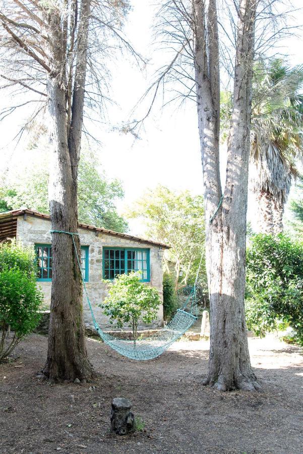 Neiva River House - Azenha Next To The River Esposende Bagian luar foto