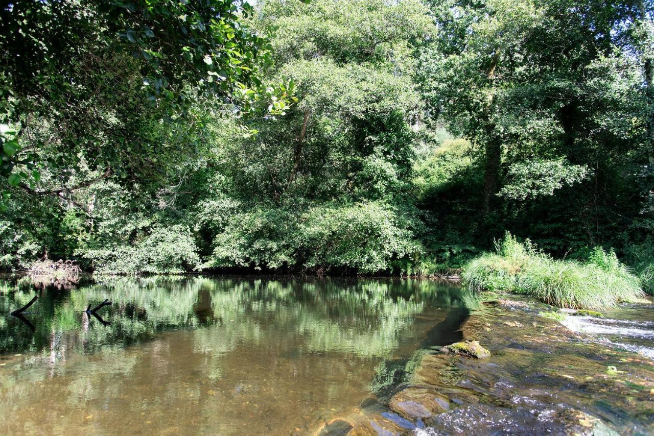 Neiva River House - Azenha Next To The River Esposende Bagian luar foto